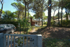 Lignano cheap